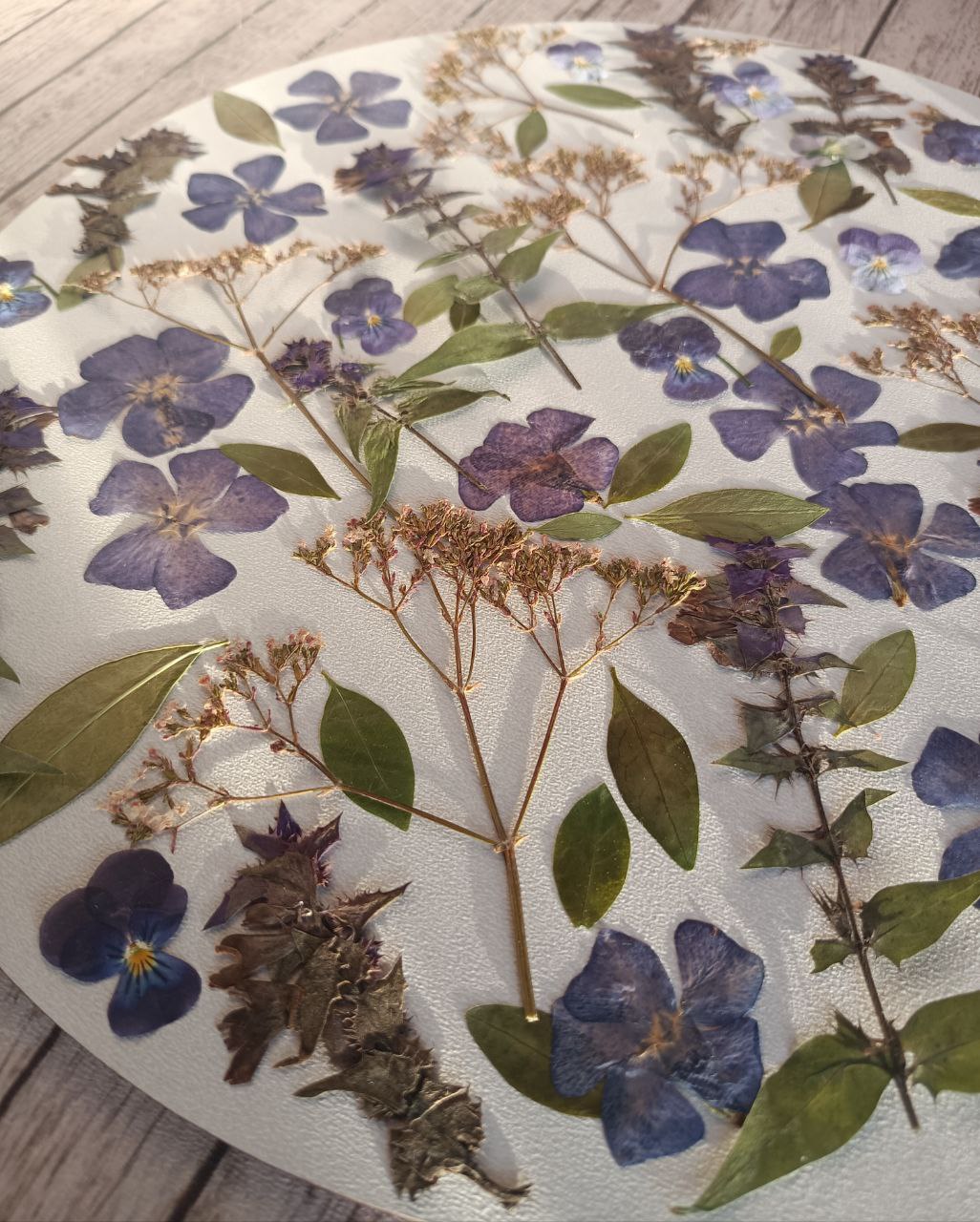 Плоские сухоцветы для заливок и любых других видов творчества 04