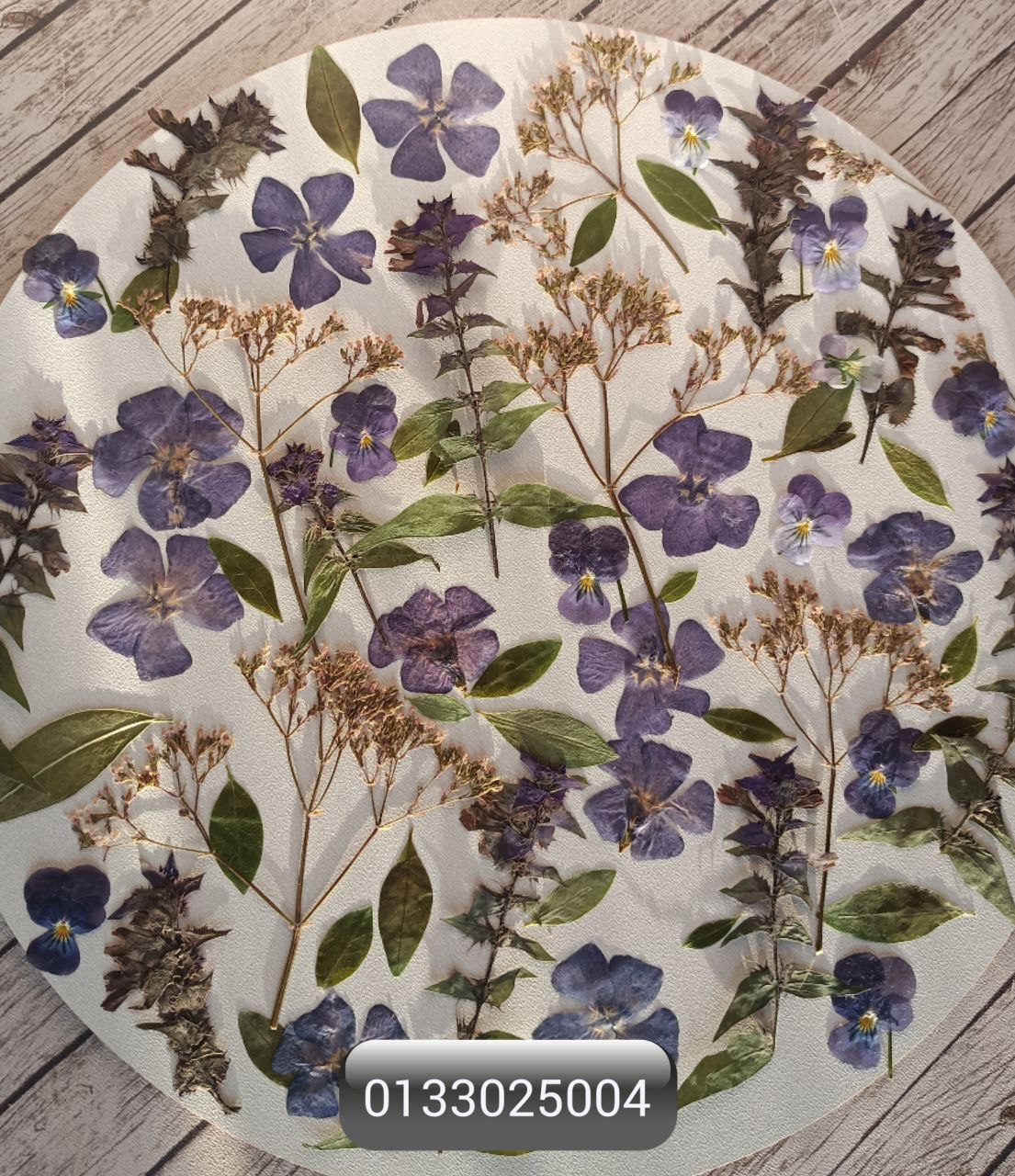 Плоские сухоцветы для заливок и любых других видов творчества 01