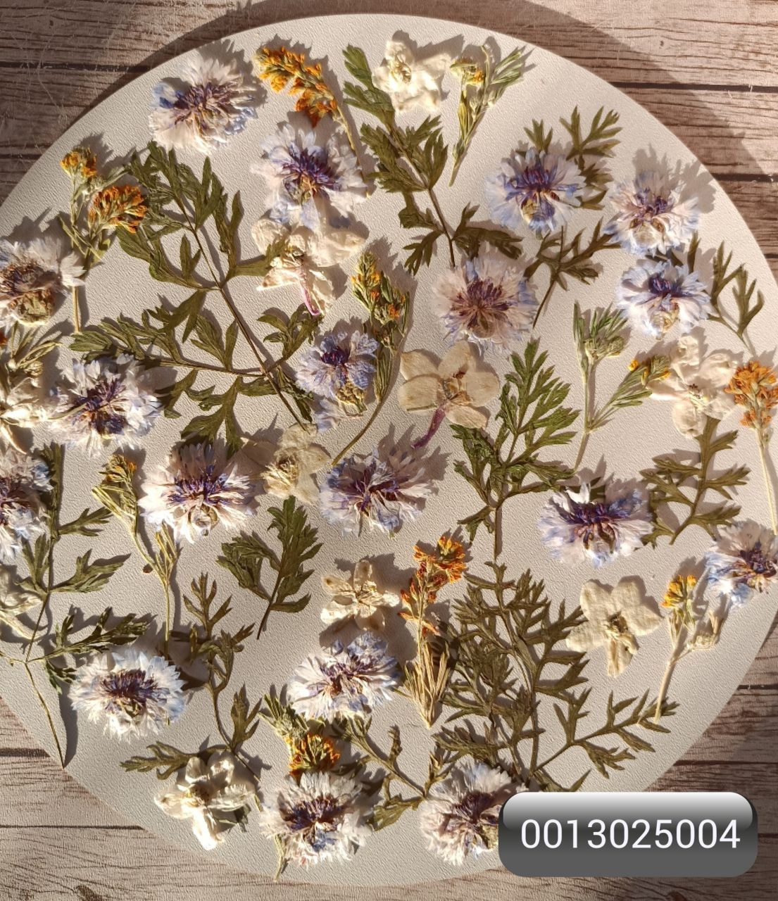 Набор сухоцветов плоской сушки для заливок и любых видов творчества 01