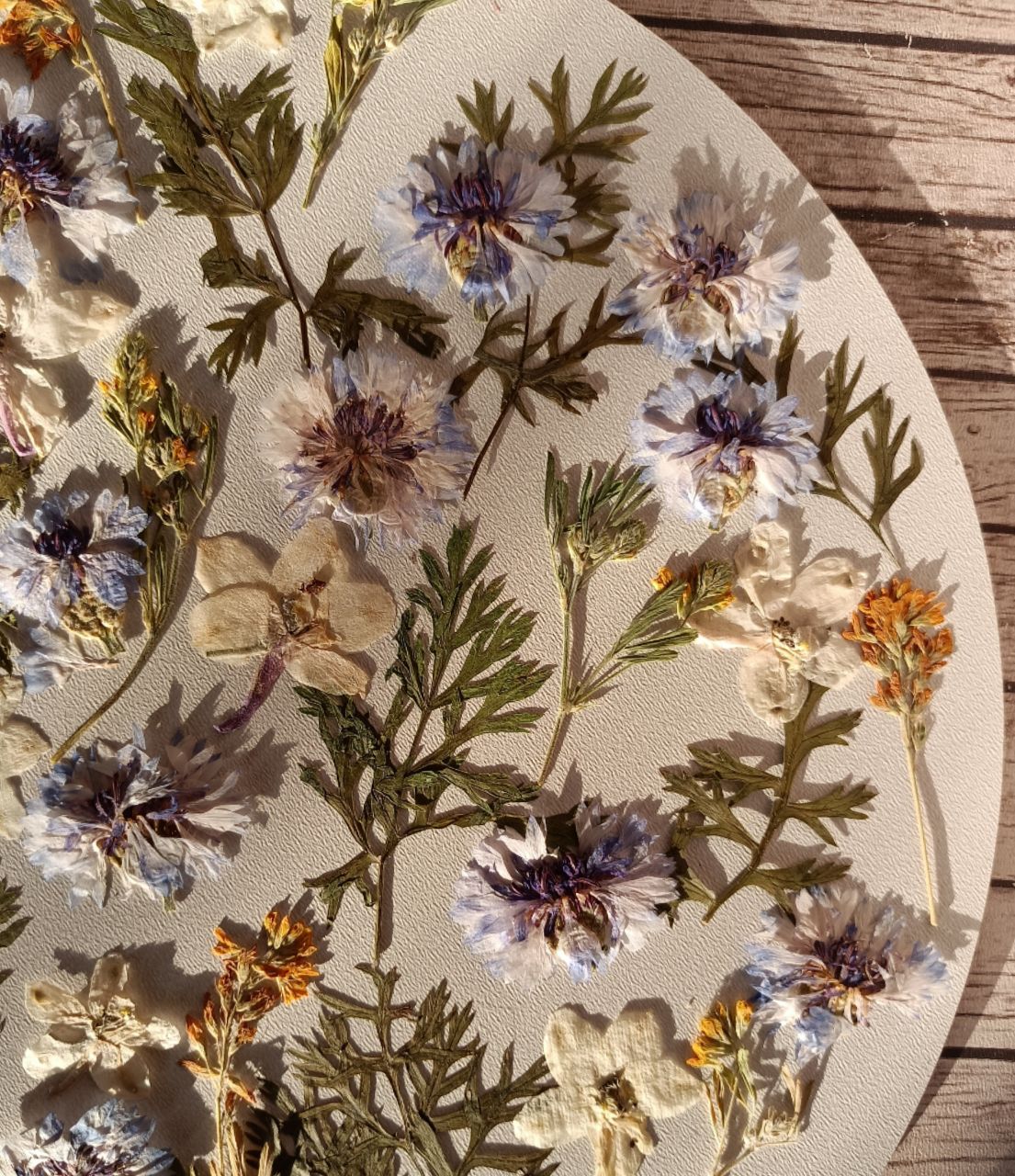 Набор сухоцветов плоской сушки для заливок и любых видов творчества 02