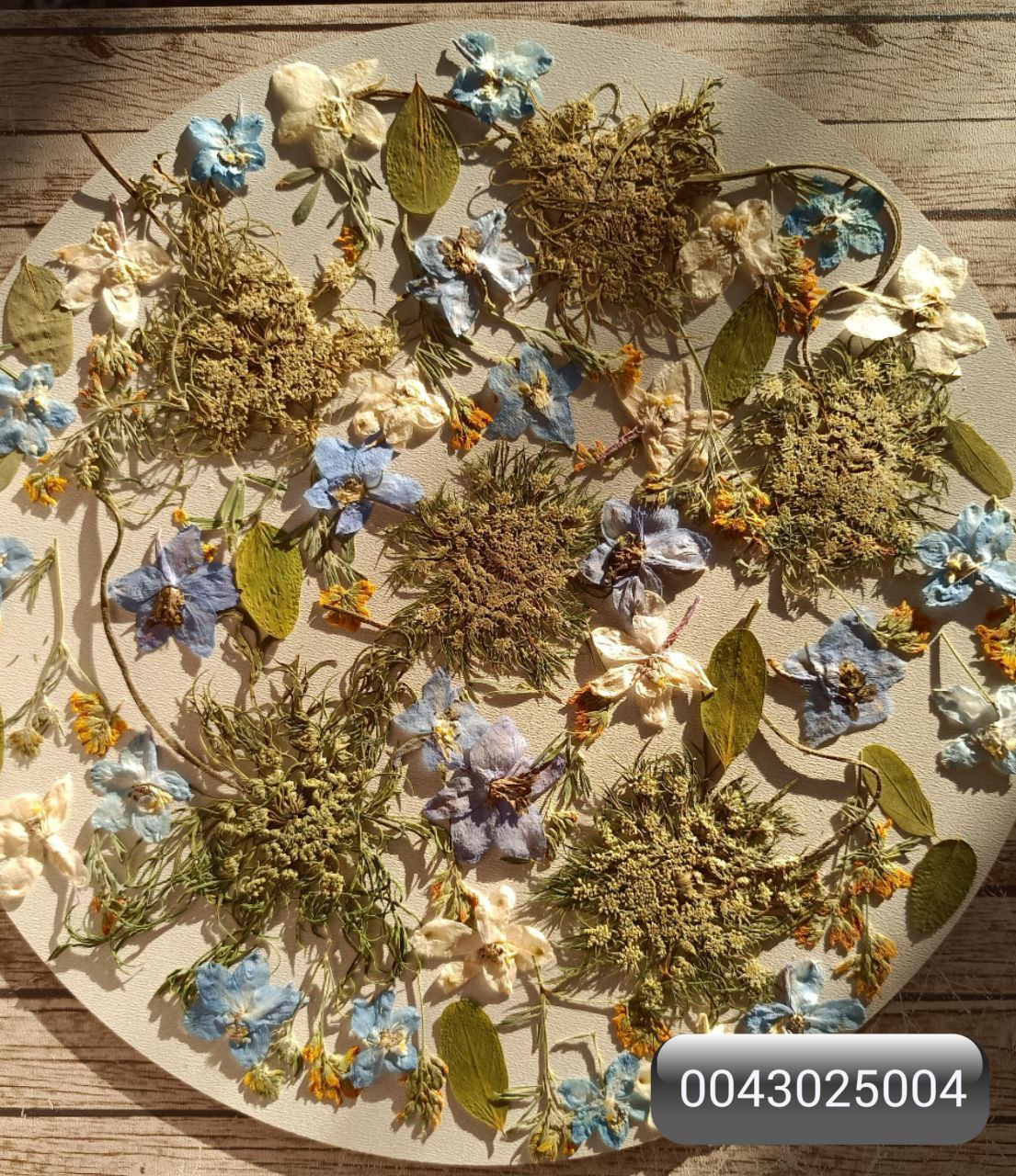 Набор плоских сухоцветов (гербарий) для эпоксидной смолы и любых других видов творчества 0043025004