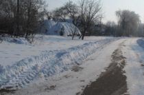 Село Гонцы, зима 2007-2008 гг