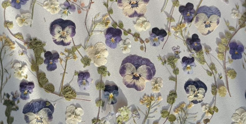 Набор плоских сухоцветов для смолы и творчества 0143025004