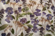 Набор сухоцветов плоской сушки для смолы и творчества 0133025004