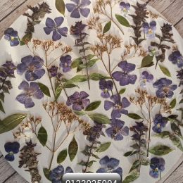 Набор сухоцветов плоской сушки для смолы и творчества 0133025004