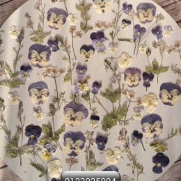 Набор плоских сухоцветов для смолы и творчества 0123025004