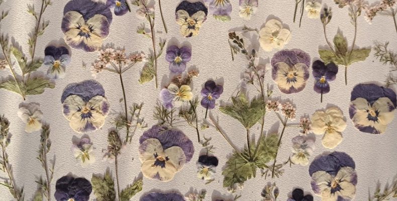 Набор плоских сухоцветов для смолы и творчества 0123025004