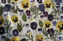 Набор плоских сухоцветов для смолы и творчества 0113025004