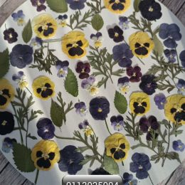 Набор плоских сухоцветов для смолы и творчества 0113025004