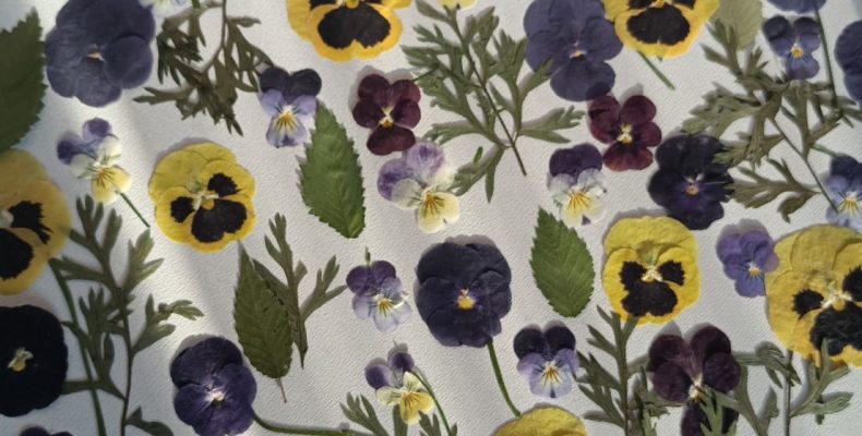 Набор плоских сухоцветов для смолы и творчества 0113025004