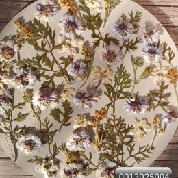 Набор сухоцветов для смолы и творчества 0013025004