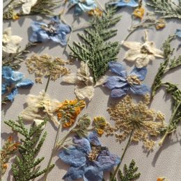 Набор плоских сухоцветов 0023025004