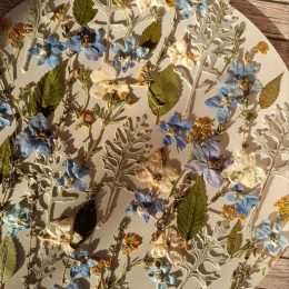 Набор плоских сухоцветов 0033025004